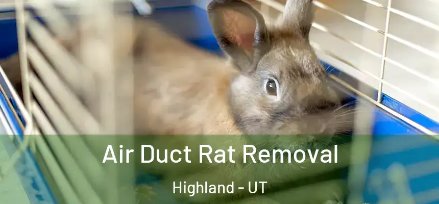  Air Duct Rat Removal Highland - UT