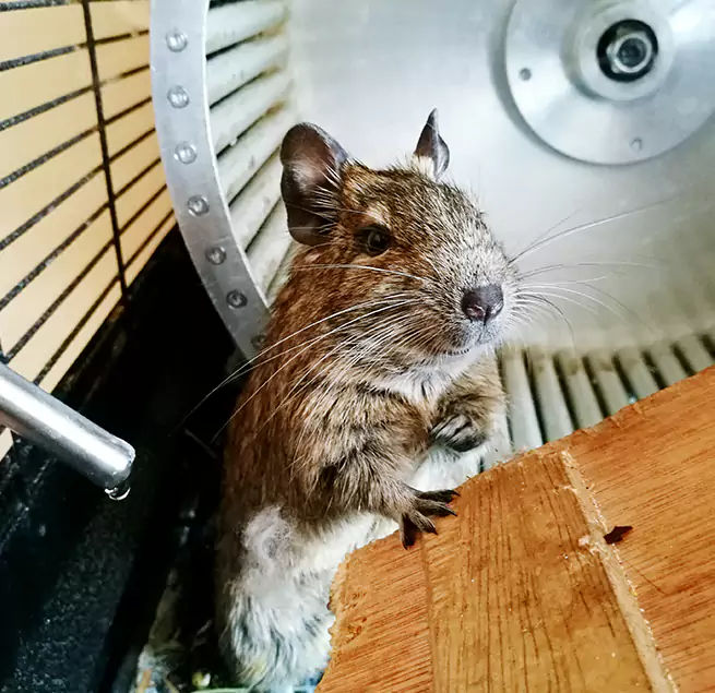 Why Homeowners & Businesses Trust Us Highland, UT?